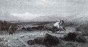 Albert Bierstadt Der Letzte Buffel Spain oil painting artist